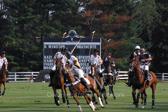 Royal Salute Jubilee Cup 2012