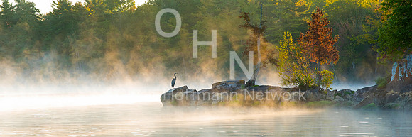 Morning Heron Mist- Framed and printed on Ultra HD Fuji Crystal Pearl DP Metallic paper!
