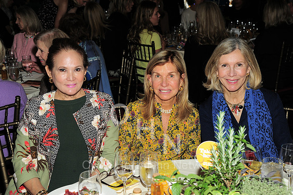 The Hort's 26th Annual Fall Luncheon