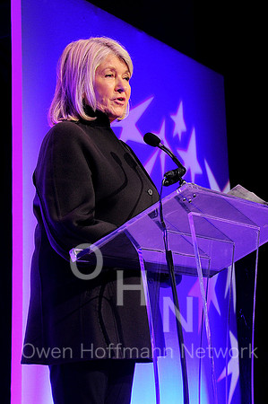 FGI 36th Annual Night of Stars Gala
