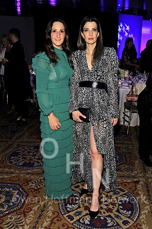 FGI 36th Annual Night of Stars Gala